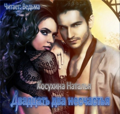 Косухина Наталья - Двадцать два несчастья HubKnigi — Аудиокниги Онлайн | Классика, Детективы, Поэзия и Более