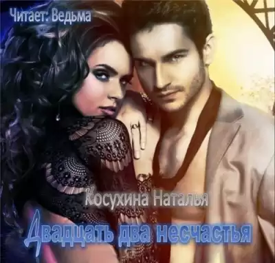 Косухина Наталья - Двадцать два несчастья HubKnigi — Аудиокниги Онлайн | Классика, Детективы, Поэзия и Более