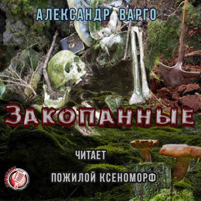 Варго Александр - Закопанные HubKnigi — Аудиокниги Онлайн | Классика, Детективы, Поэзия и Более
