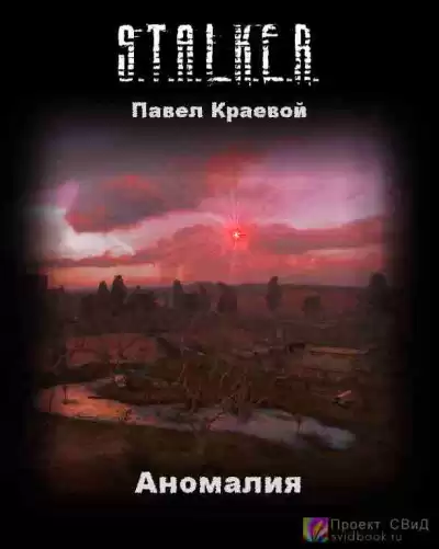 Краевой Павел - Аномалия HubKnigi — Аудиокниги Онлайн | Классика, Детективы, Поэзия и Более