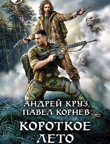 Корнев Павел, Круз Андрей - Короткое лето HubKnigi — Аудиокниги Онлайн | Классика, Детективы, Поэзия и Более