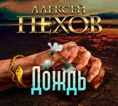 Пехов Алексей - Дождь HubKnigi — Аудиокниги Онлайн | Классика, Детективы, Поэзия и Более