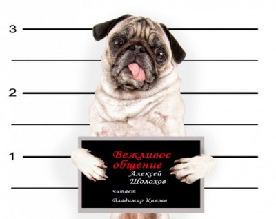 Шолохов Алексей - Вежливое общение HubKnigi — Аудиокниги Онлайн | Классика, Детективы, Поэзия и Более