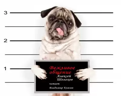 Шолохов Алексей - Вежливое общение HubKnigi — Аудиокниги Онлайн | Классика, Детективы, Поэзия и Более