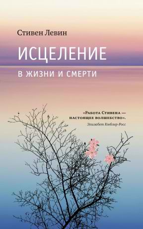 Левин Стивен - Исцеление в жизни и смерти HubKnigi — Аудиокниги Онлайн | Классика, Детективы, Поэзия и Более