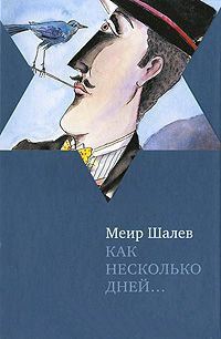 Шалев Меир - Как несколько дней... HubKnigi — Аудиокниги Онлайн | Классика, Детективы, Поэзия и Более