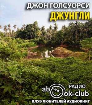 Голсуорси Джон - Джунгли HubKnigi — Аудиокниги Онлайн | Классика, Детективы, Поэзия и Более