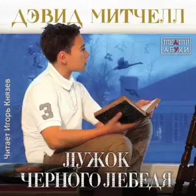 Митчелл Дэвид - Лужок Черного Лебедя HubKnigi — Аудиокниги Онлайн | Классика, Детективы, Поэзия и Более