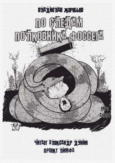 Жеребьёв Владислав - По следам полковника Фоссета HubKnigi — Аудиокниги Онлайн | Классика, Детективы, Поэзия и Более