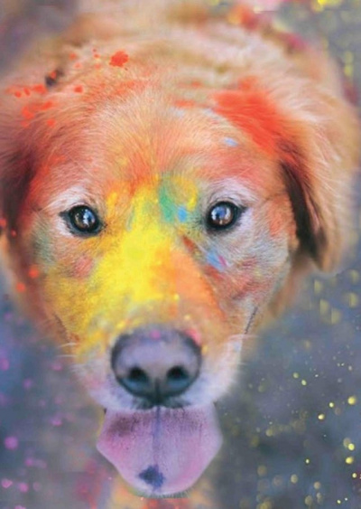 Сафронов Евгений - Догхантер. Радужный мост HubKnigi — Аудиокниги Онлайн | Классика, Детективы, Поэзия и Более