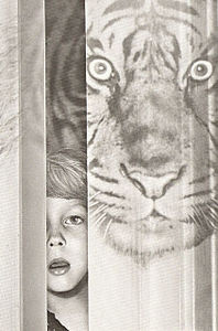 Кинг Стивен - Здесь тоже водятся тигры HubKnigi — Аудиокниги Онлайн | Классика, Детективы, Поэзия и Более