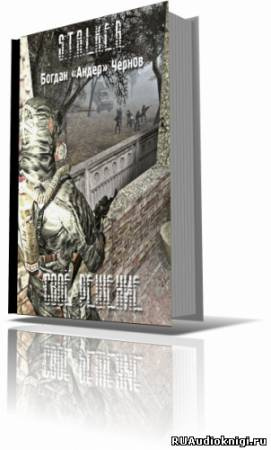 Чернов Богдан - Свое решение (S.T.A.L.K.E.R.) HubKnigi — Аудиокниги Онлайн | Классика, Детективы, Поэзия и Более