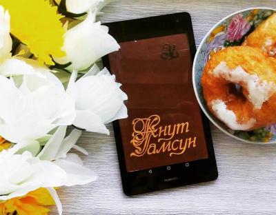 Гамсун Кнут - Совершенно обыкновенная муха средней величины HubKnigi — Аудиокниги Онлайн | Классика, Детективы, Поэзия и Более