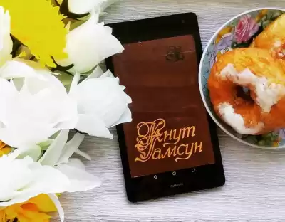 Гамсун Кнут - Совершенно обыкновенная муха средней величины HubKnigi — Аудиокниги Онлайн | Классика, Детективы, Поэзия и Более