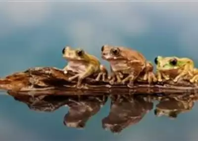 Бахилин Михаил - Государь HubKnigi — Аудиокниги Онлайн | Классика, Детективы, Поэзия и Более