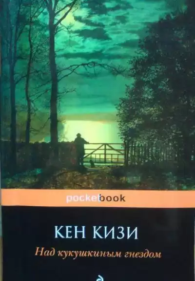 Кизи Кен - Над кукушкиным гнездом HubKnigi — Аудиокниги Онлайн | Классика, Детективы, Поэзия и Более