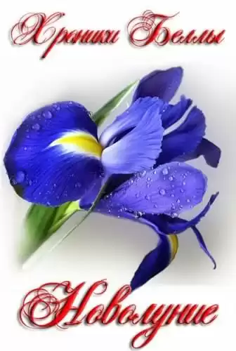 Мишина Екатерина - Новолуние HubKnigi — Аудиокниги Онлайн | Классика, Детективы, Поэзия и Более