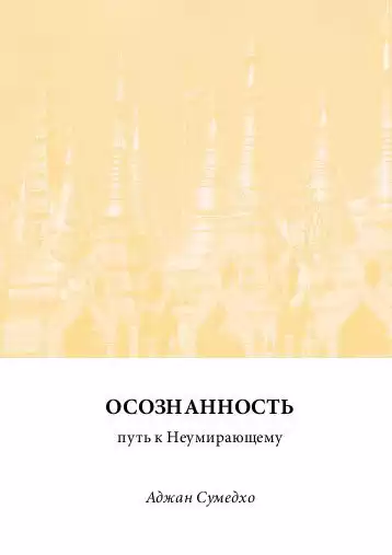 Сумедхо Ачаан - Осознанность - путь к Неумирающему HubKnigi — Аудиокниги Онлайн | Классика, Детективы, Поэзия и Более