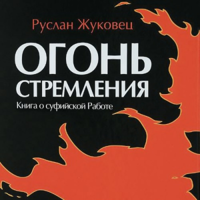 Жуковец Руслан - Огонь стремления. Книга о суфийской Работе HubKnigi — Аудиокниги Онлайн | Классика, Детективы, Поэзия и Более