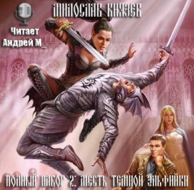 Князев Милослав - Месть темной эльфийки HubKnigi — Аудиокниги Онлайн | Классика, Детективы, Поэзия и Более