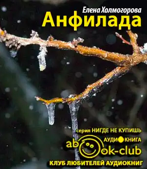 Холмогорова Елена - Анфилада HubKnigi — Аудиокниги Онлайн | Классика, Детективы, Поэзия и Более