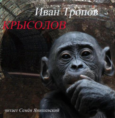 Тропов Иван - Крысолов HubKnigi — Аудиокниги Онлайн | Классика, Детективы, Поэзия и Более