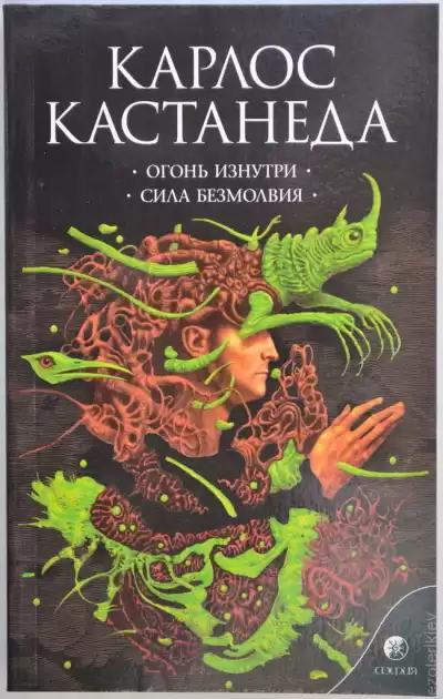 Кастанеда Карлос - Огонь изнутри HubKnigi — Аудиокниги Онлайн | Классика, Детективы, Поэзия и Более