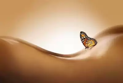 Павич Милорад - Рассказы HubKnigi — Аудиокниги Онлайн | Классика, Детективы, Поэзия и Более