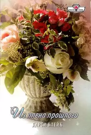 Блейк Дарси - Из плена прошлого HubKnigi — Аудиокниги Онлайн | Классика, Детективы, Поэзия и Более