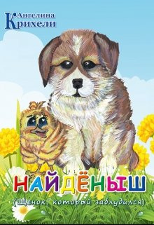Крихели Ангелина - Найденыш. Щенок, который заблудился HubKnigi — Аудиокниги Онлайн | Классика, Детективы, Поэзия и Более