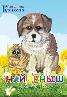Крихели Ангелина - Найденыш. Щенок, который заблудился HubKnigi — Аудиокниги Онлайн | Классика, Детективы, Поэзия и Более