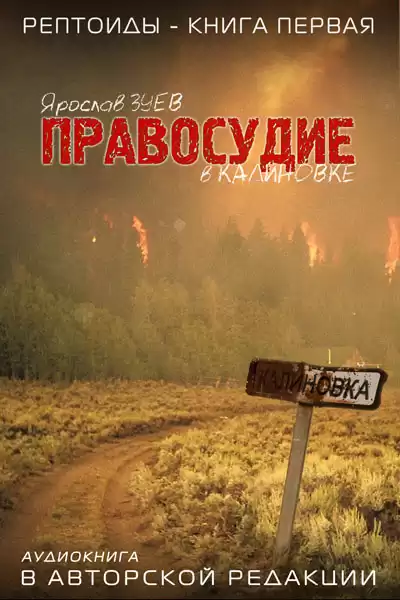 Зуев Ярослав - Правосудие в Калиновке HubKnigi — Аудиокниги Онлайн | Классика, Детективы, Поэзия и Более