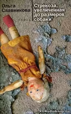 Славникова Ольга - Стрекоза, увеличенная до размеров собаки HubKnigi — Аудиокниги Онлайн | Классика, Детективы, Поэзия и Более