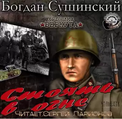Сушинский Богдан - Стоять в огне HubKnigi — Аудиокниги Онлайн | Классика, Детективы, Поэзия и Более