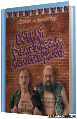 Вассерман Анатолий, Латыпов Нурали - Острая стратегическая недостаточность. Страна на перепутье HubKnigi — Аудиокниги Онлайн | Классика, Детективы, Поэзия и Более