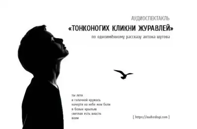 Шутов Антон - Тонконогих кликни журавлей HubKnigi — Аудиокниги Онлайн | Классика, Детективы, Поэзия и Более