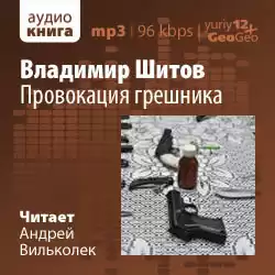 Шитов Владимир - Провокация грешника HubKnigi — Аудиокниги Онлайн | Классика, Детективы, Поэзия и Более