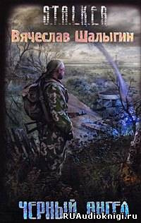 Шалыгин Вячеслав - Черный Ангел (S.T.A.L.K.E.R.) HubKnigi — Аудиокниги Онлайн | Классика, Детективы, Поэзия и Более