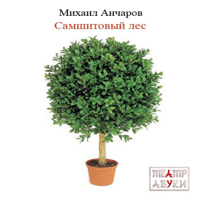 Анчаров Михаил - Самшитовый лес HubKnigi — Аудиокниги Онлайн | Классика, Детективы, Поэзия и Более