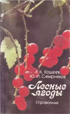 Кощеев А.К., Смирняков Ю.И. - Лесные ягоды HubKnigi — Аудиокниги Онлайн | Классика, Детективы, Поэзия и Более