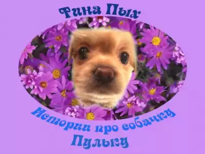 Пых Тина - Истории про собачку Пульку HubKnigi — Аудиокниги Онлайн | Классика, Детективы, Поэзия и Более