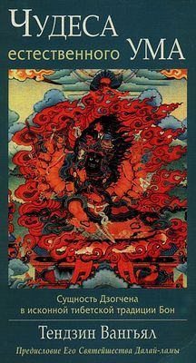 Тендзин Вангьял Ринпоче - Чудеса естественного ума HubKnigi — Аудиокниги Онлайн | Классика, Детективы, Поэзия и Более