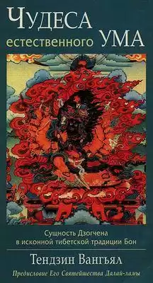 Тендзин Вангьял Ринпоче - Чудеса естественного ума HubKnigi — Аудиокниги Онлайн | Классика, Детективы, Поэзия и Более
