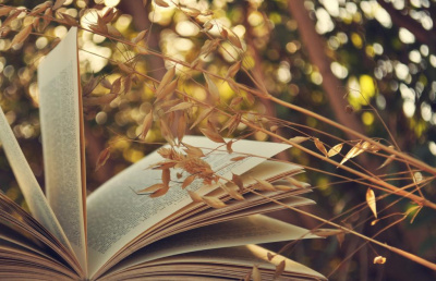 Мартынович Владислав - Поэзия Разных Лет. Часть 3 HubKnigi — Аудиокниги Онлайн | Классика, Детективы, Поэзия и Более