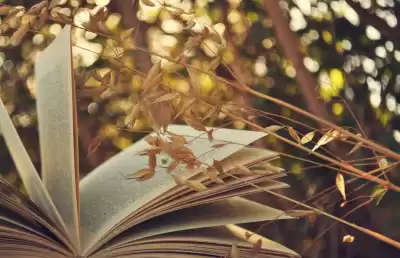 Мартынович Владислав - Поэзия Разных Лет. Часть 3 HubKnigi — Аудиокниги Онлайн | Классика, Детективы, Поэзия и Более