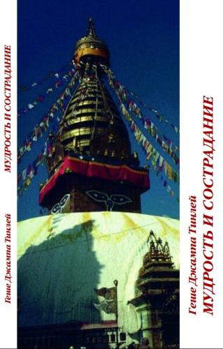 Тинлей Геше Джампа - Мудрость и сострадание HubKnigi — Аудиокниги Онлайн | Классика, Детективы, Поэзия и Более
