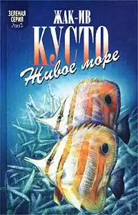 Кусто Жак Ив, Даген Джеймс - Живое море HubKnigi — Аудиокниги Онлайн | Классика, Детективы, Поэзия и Более