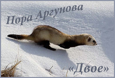 Аргунова Нора - Двое HubKnigi — Аудиокниги Онлайн | Классика, Детективы, Поэзия и Более