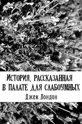 Лондон Джек - История, рассказанная в палате для слабоумных HubKnigi — Аудиокниги Онлайн | Классика, Детективы, Поэзия и Более
