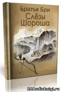 Братья Бри - Слезы Шороша. Книга 1 HubKnigi — Аудиокниги Онлайн | Классика, Детективы, Поэзия и Более